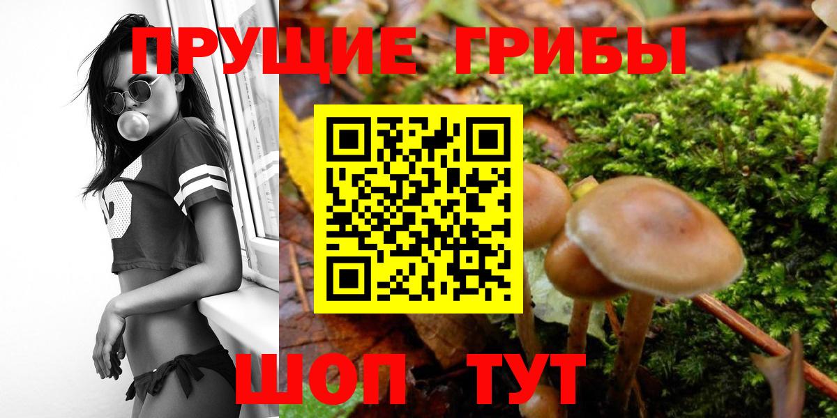 Псилоцибиновые грибы MAGIC MUSHROOMS Великий Новгород