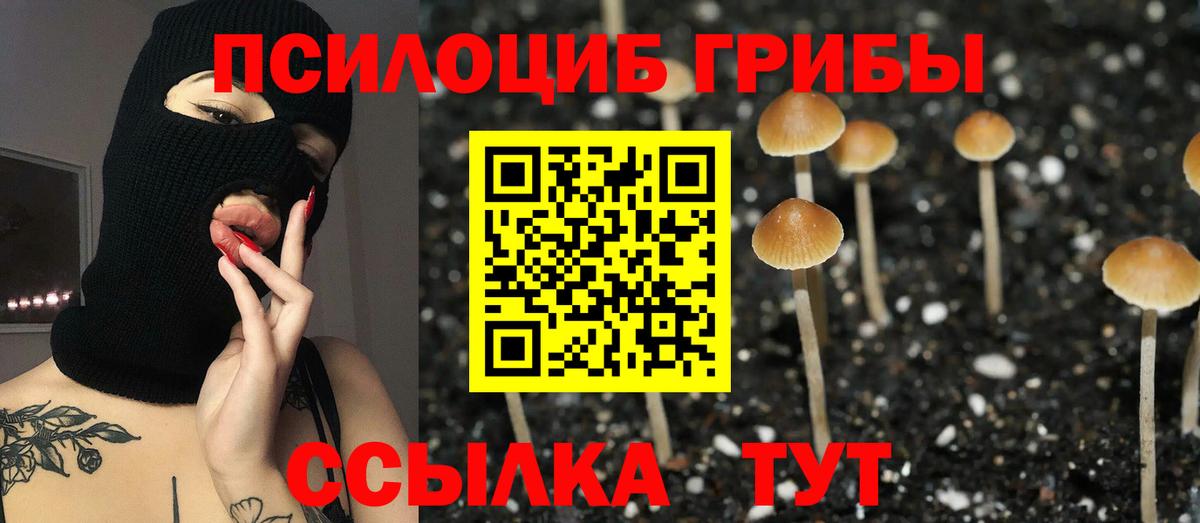 Галлюциногенные грибы мицелий  Вход с VPN  купить закладку  Великий Новгород  Галлюциногенные грибы прущие грибы 