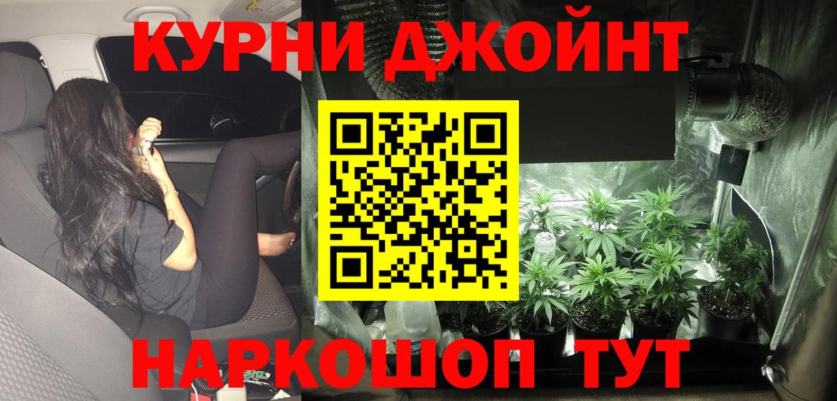 Канабис гибрид Великий Новгород